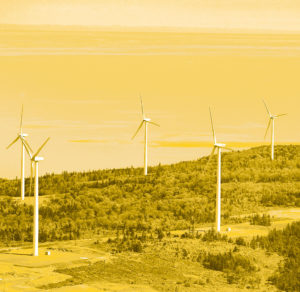 Environment - Digby Neck wind farm
